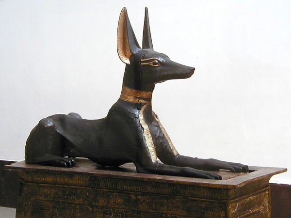 Anubis Statue A101